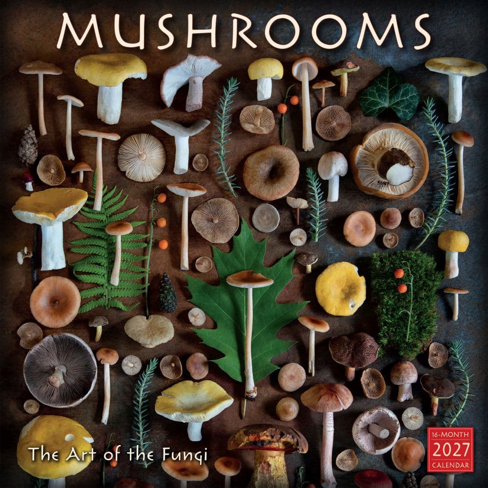 Mushrooms the Art of the Fungi 2027 Wall Calendar Main Product Image