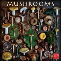 image Mushrooms the Art of the Fungi 2027 Wall Calendar Main Product Image