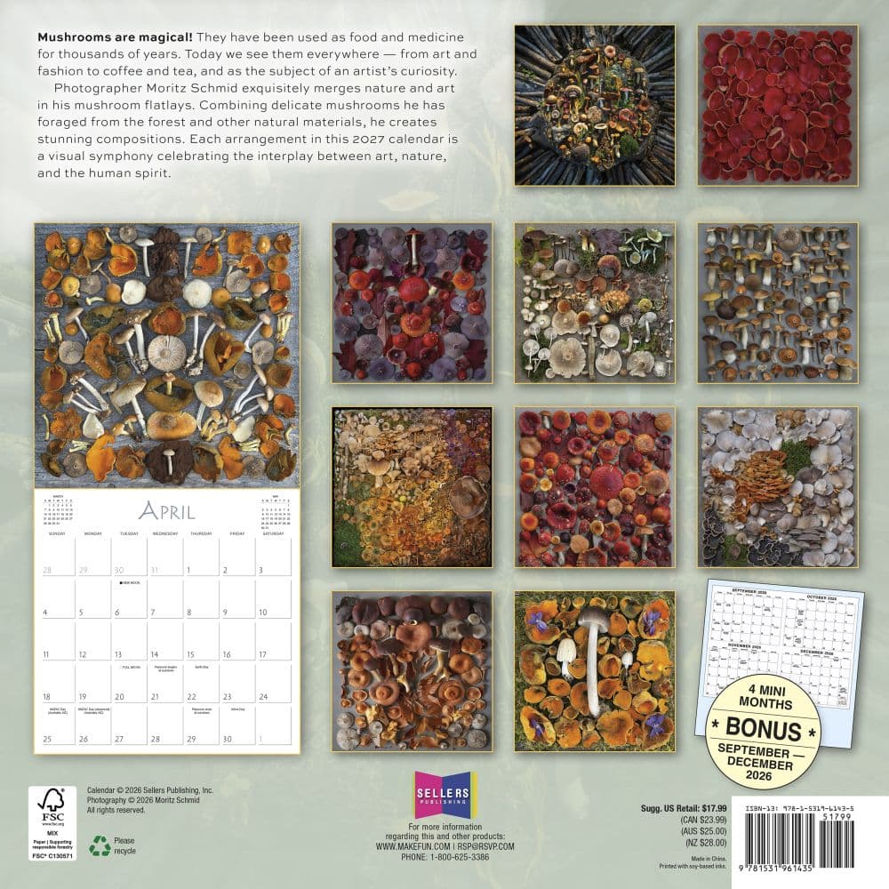 Mushrooms the Art of the Fungi 2027 Wall Calendar First Alternate Image