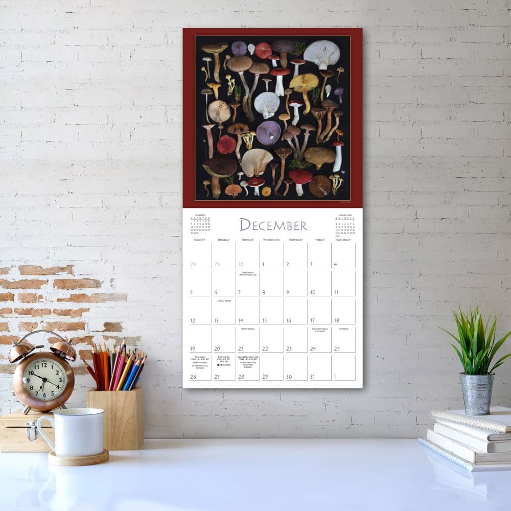 Mushrooms the Art of the Fungi 2027 Wall Calendar Third Alternate Image
