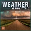 image Weather Gone Wild 2027 Wall Calendar Main Product Image