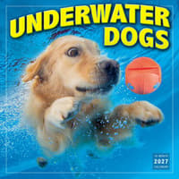 image Underwater Dogs 2027 Wall Calendar by Seth Casteel Main Product Image