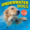 image Underwater Dogs 2027 Wall Calendar by Seth Casteel Main Product Image