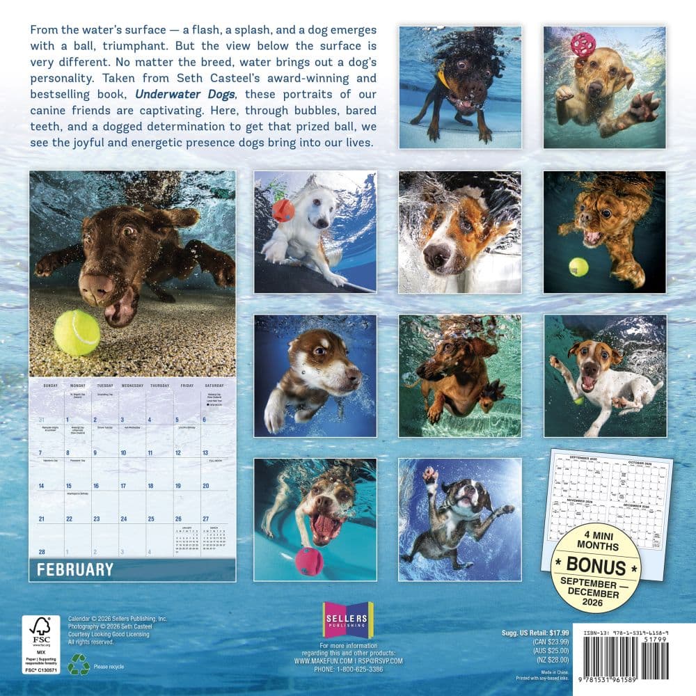 Underwater Dogs 2027 Wall Calendar by Seth Casteel First Alternate Image