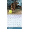 image Underwater Dogs 2027 Wall Calendar by Seth Casteel Second Alternate Image