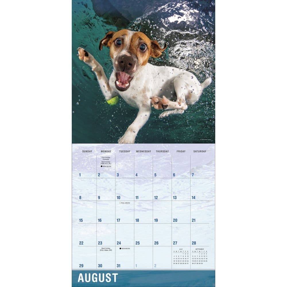 Underwater Dogs 2027 Wall Calendar by Seth Casteel Fourth Alternate Image