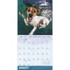 image Underwater Dogs 2027 Wall Calendar by Seth Casteel Fourth Alternate Image