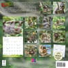image Stoner Sloths 2027 Wall Calendar First Alternate Image