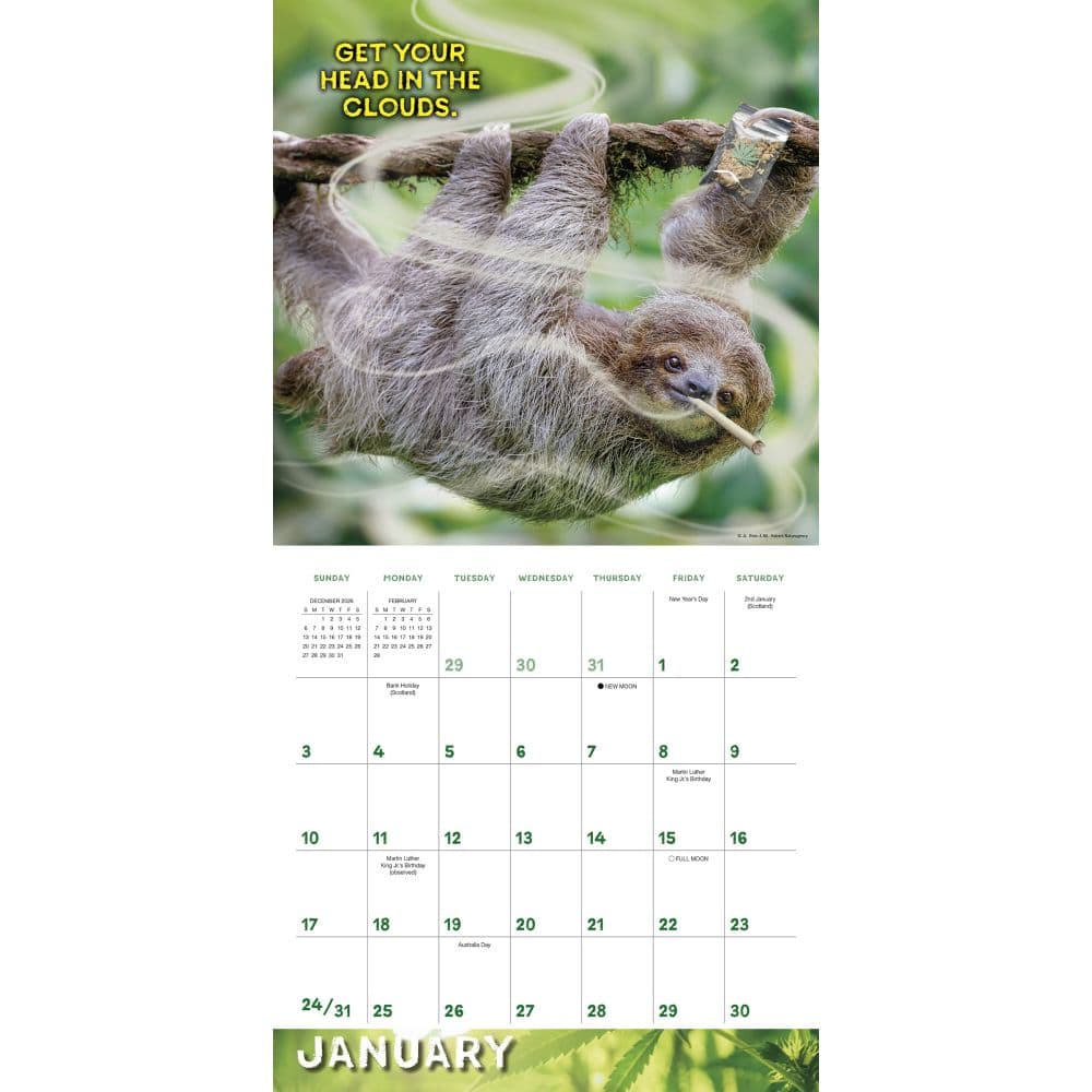 Stoner Sloths 2027 Wall Calendar Second Alternate Image