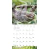 image Stoner Sloths 2027 Wall Calendar Second Alternate Image