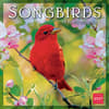 image Songbirds 2027 Wall Calendar Main Product Image