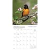 image Songbirds 2027 Wall Calendar Second Alternate Image