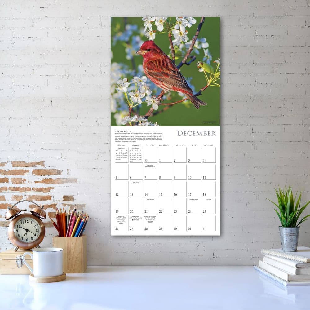 Songbirds 2027 Wall Calendar Third Alternate Image