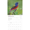 image Songbirds 2027 Wall Calendar Fourth Alternate Image