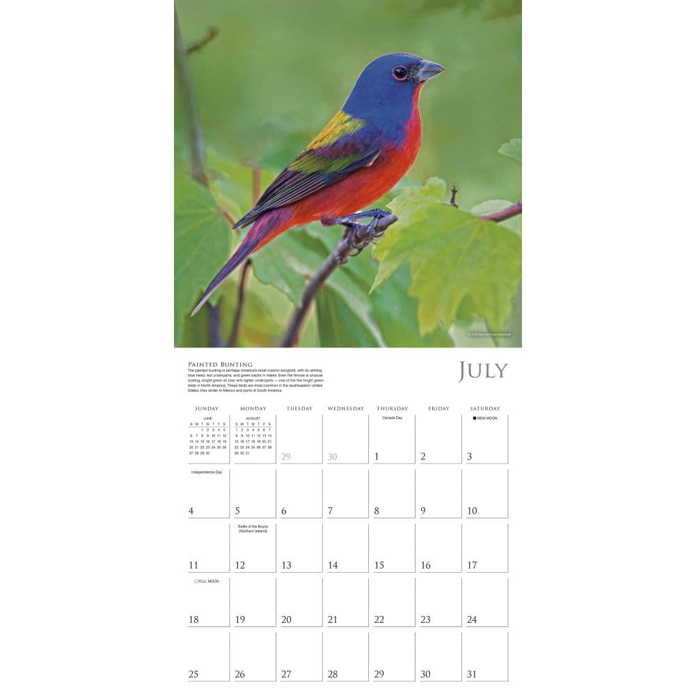Songbirds 2027 Wall Calendar Fourth Alternate Image