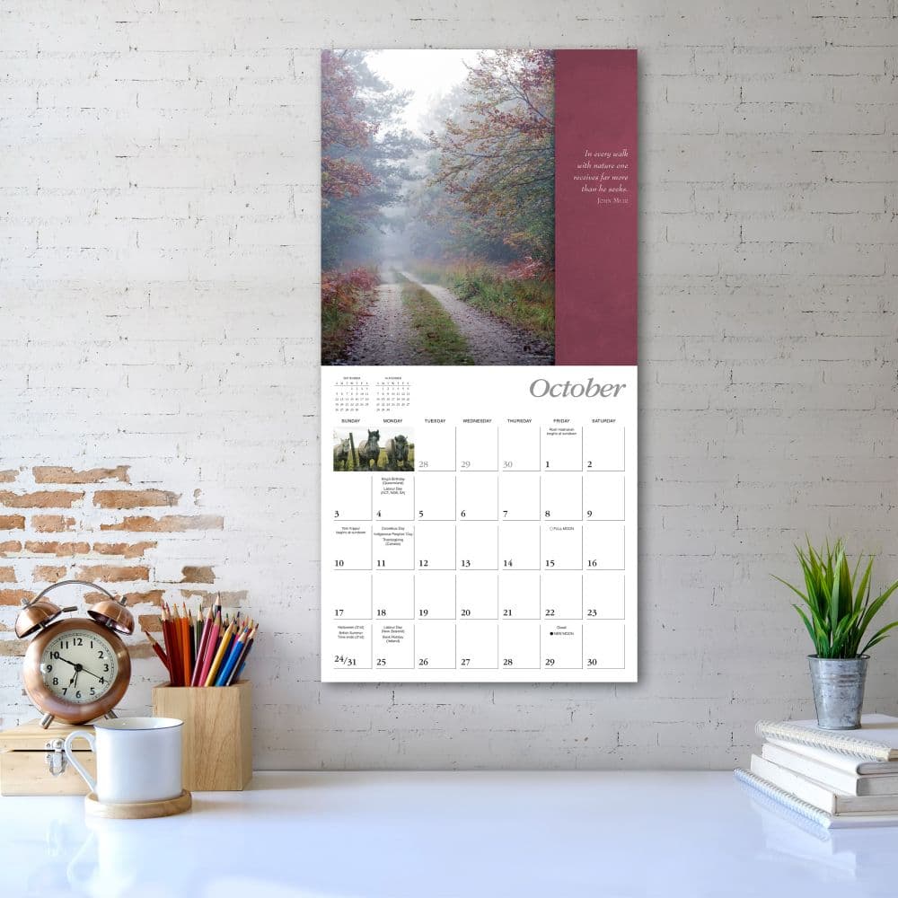 Simplicity 2027 Wall Calendar Third Alternate Image