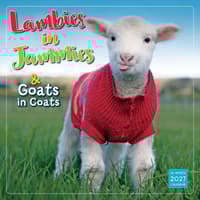 image Lambies in Jammies 2027 Wall Calendar Main Product Image