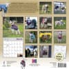 image Lambies in Jammies 2027 Wall Calendar First Alternate Image