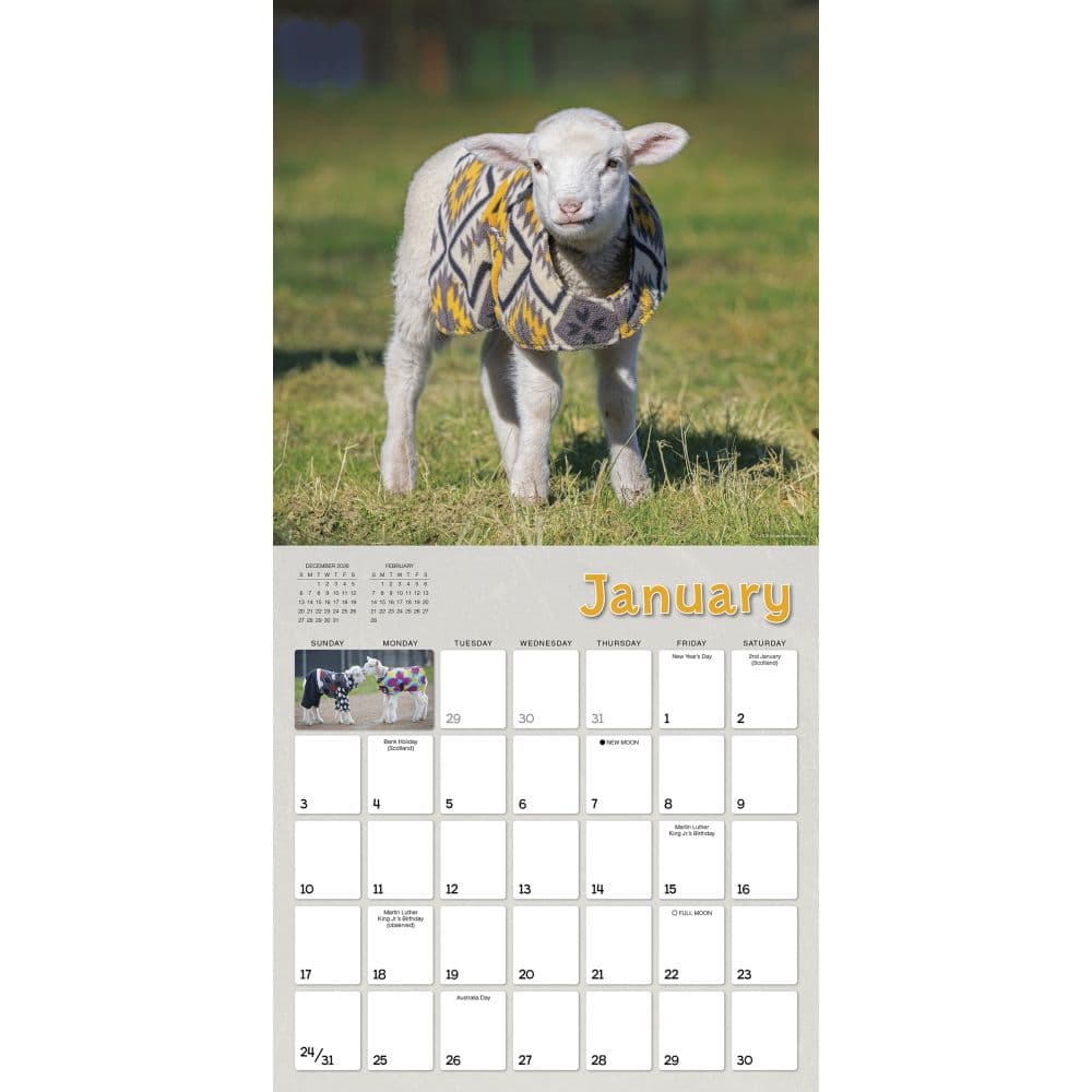 Lambies in Jammies 2027 Wall Calendar Second Alternate Image