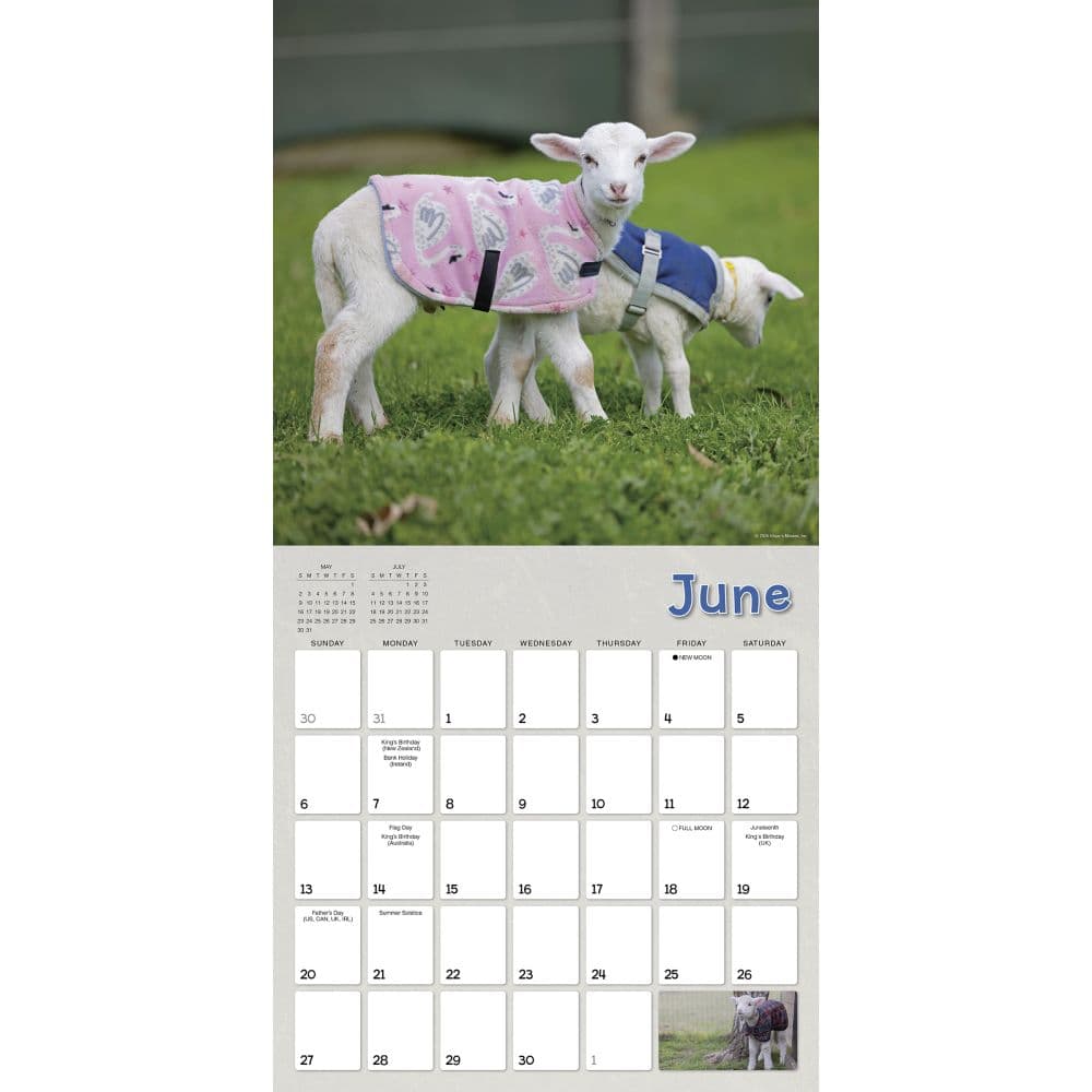 Lambies in Jammies 2027 Wall Calendar Fourth Alternate Image