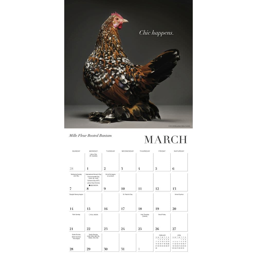 Glamour Chicks 2027 Wall Calendar Second Alternate Image
