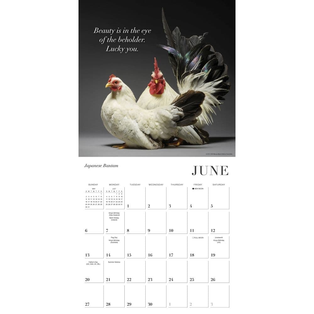 Glamour Chicks 2027 Wall Calendar Fourth Alternate Image