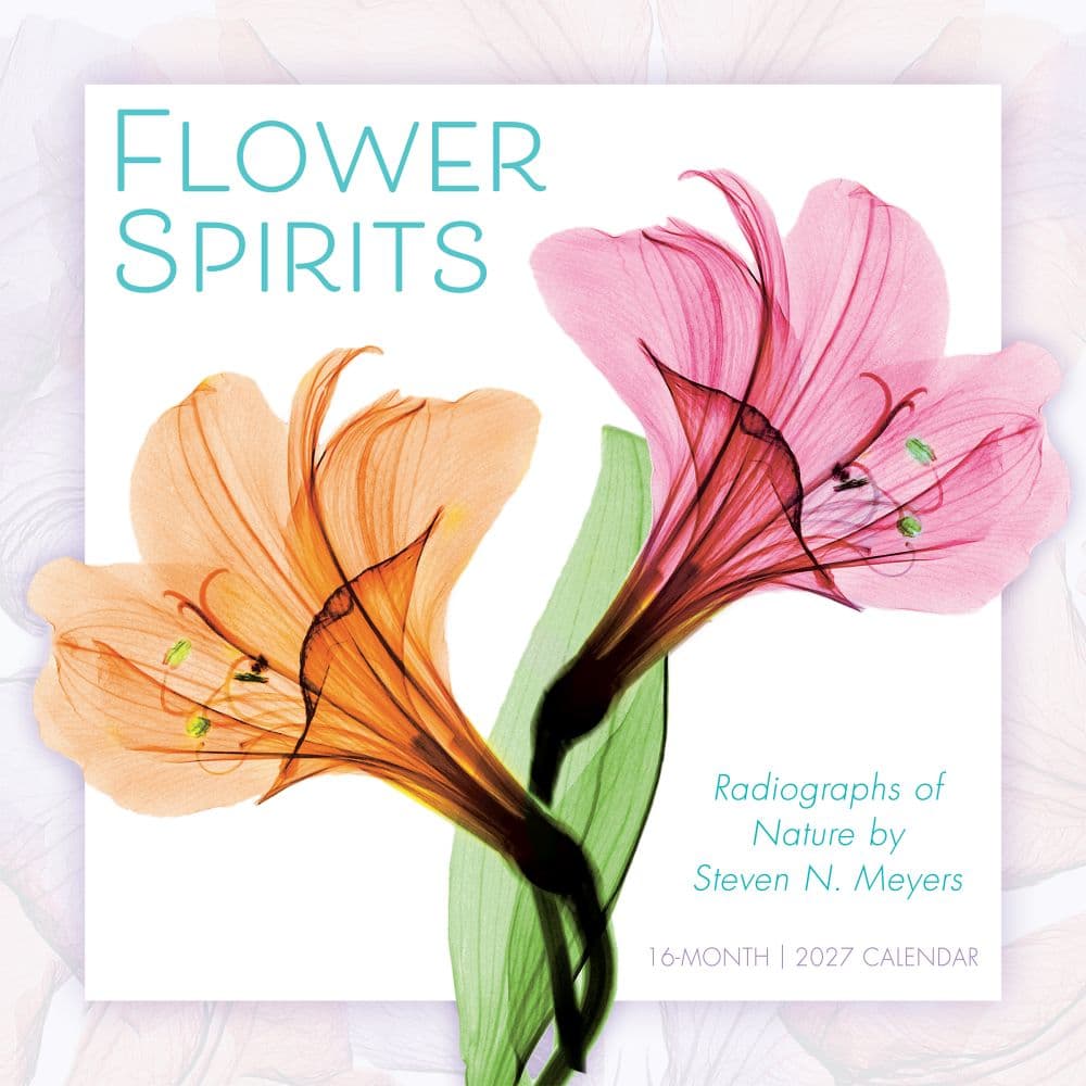 Flower Spirits 2027 Wall Calendar Main Product Image