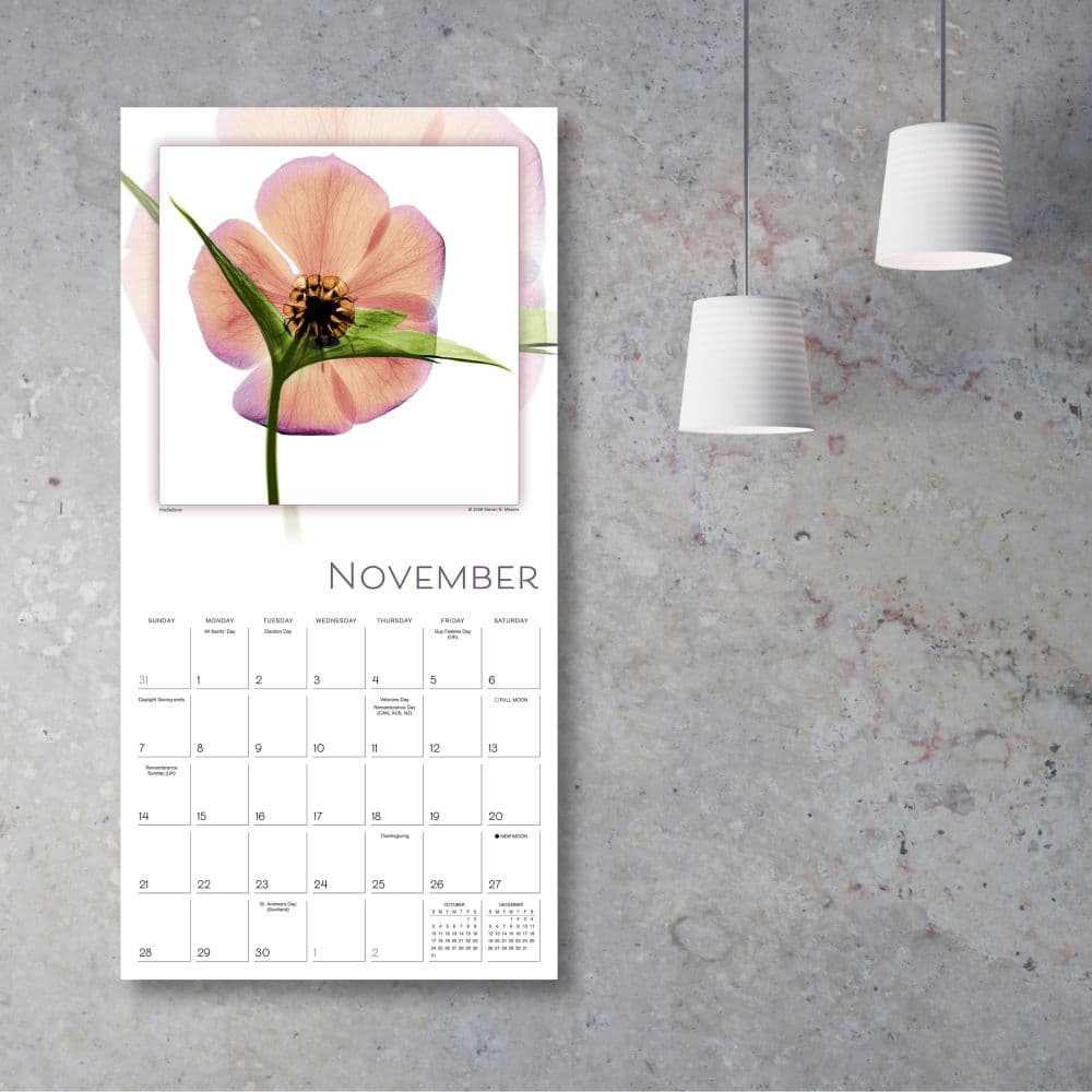 Flower Spirits 2027 Wall Calendar Third Alternate Image