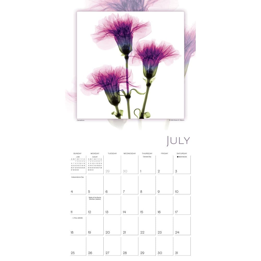 Flower Spirits 2027 Wall Calendar Fourth Alternate Image
