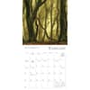 image Enchanted Pathways Photography 2027 Wall Calendar Second Alternate Image