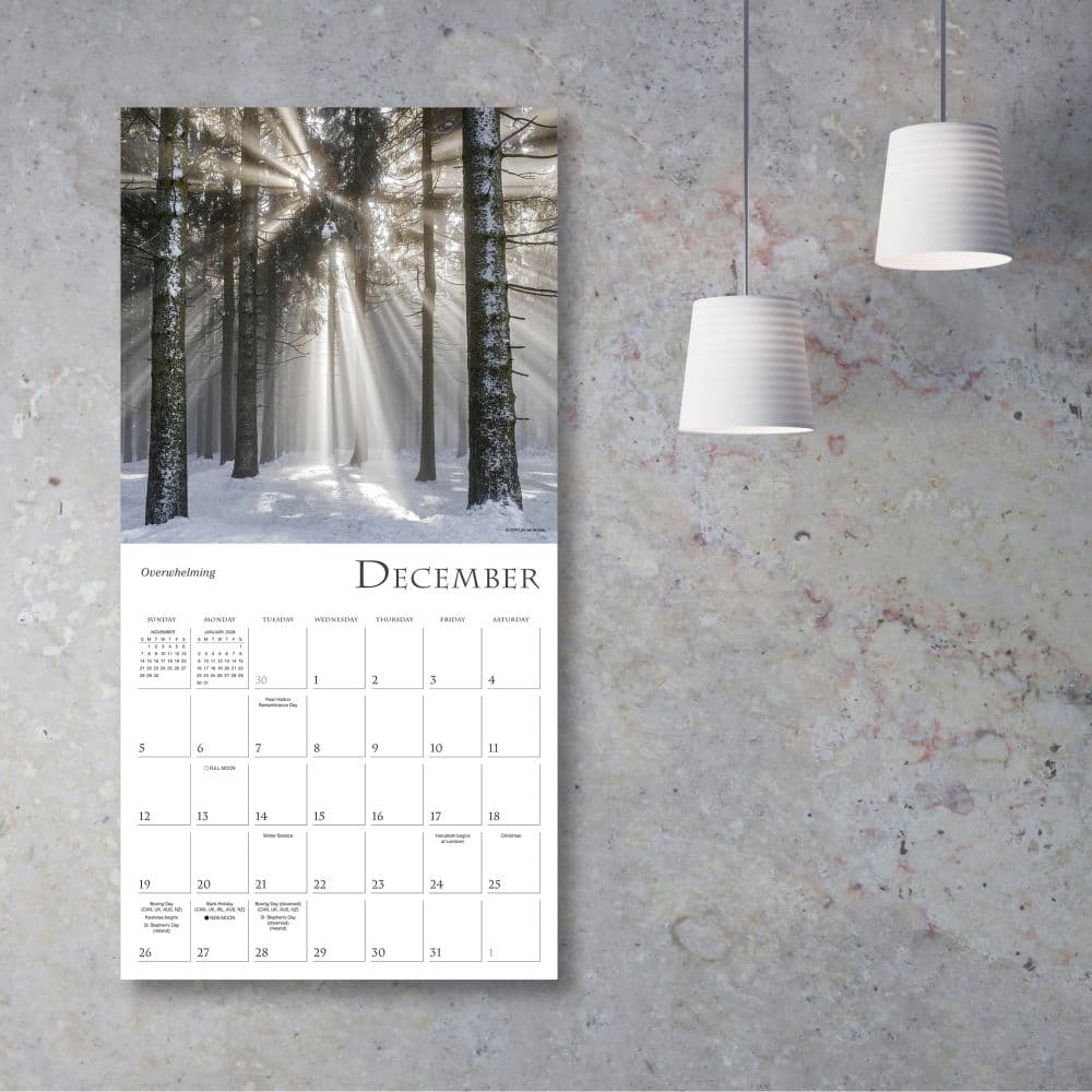 Enchanted Pathways Photography 2027 Wall Calendar Third Alternate Image