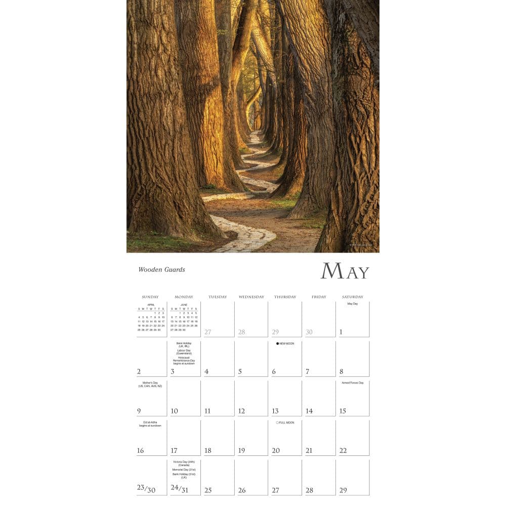 Enchanted Pathways Photography 2027 Wall Calendar Fourth Alternate Image