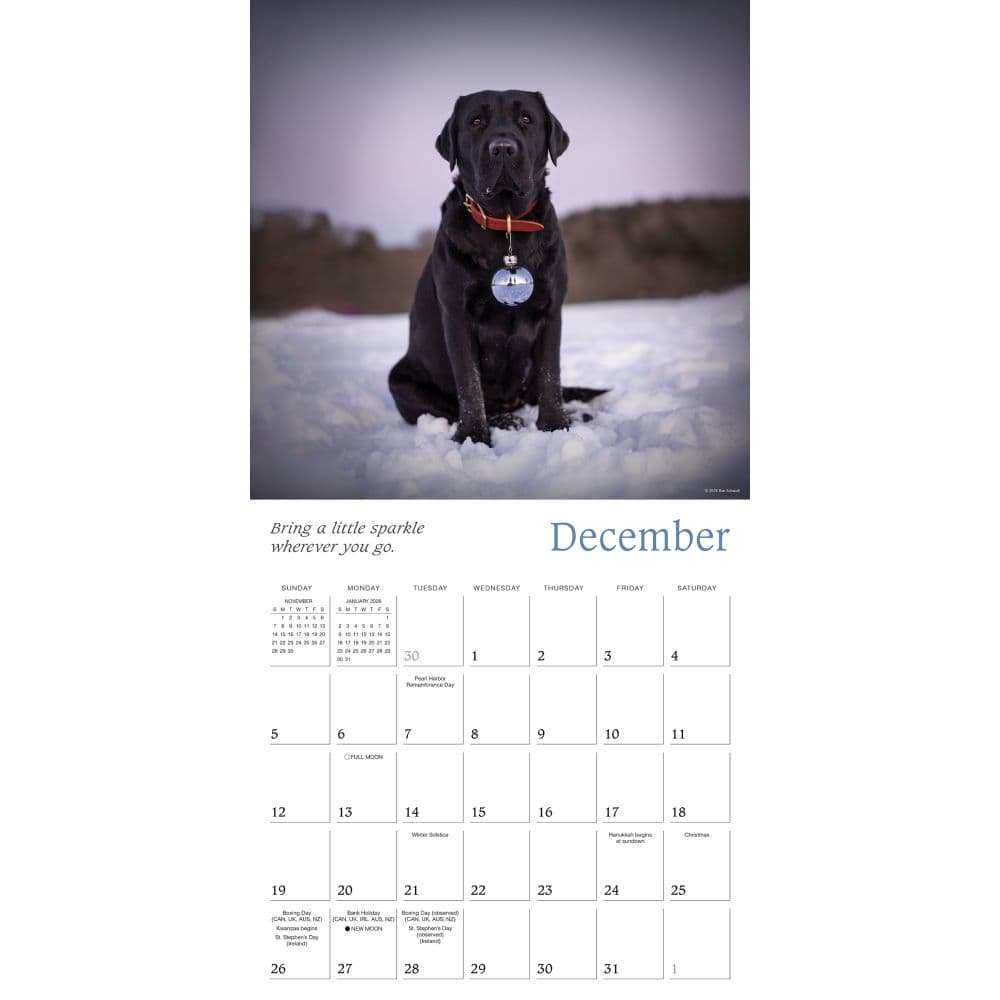 Dogma 2027 Wall Calendar Fourth Alternate Image