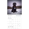 image Dogma 2027 Wall Calendar Fourth Alternate Image