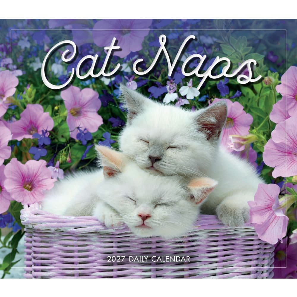 Cat Naps 2027 Desk Calendar Fifth Alternate Image
