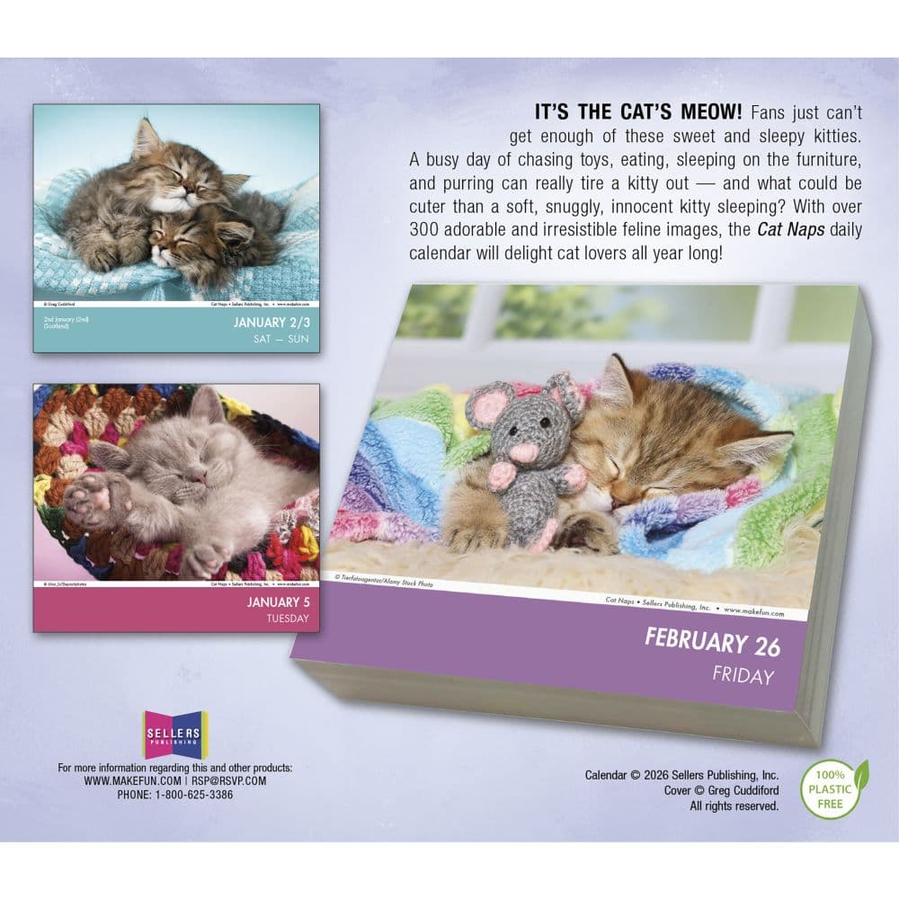 Cat Naps 2027 Desk Calendar First Alternate Image