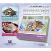 image Cat Naps 2027 Desk Calendar First Alternate Image