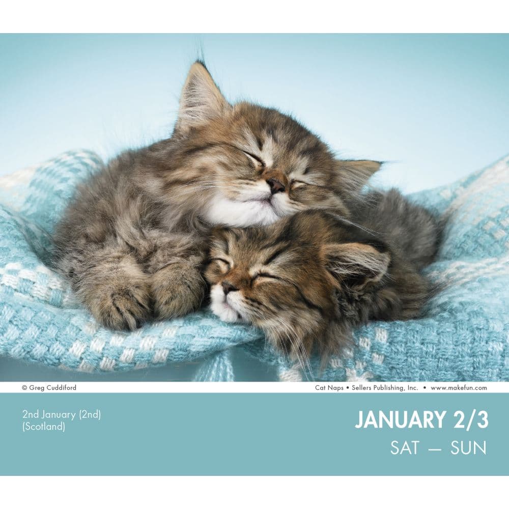 Cat Naps 2027 Desk Calendar Second Alternate Image
