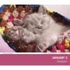 image Cat Naps 2027 Desk Calendar Fourth Alternate Image