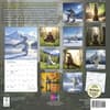 image Yeti Yoga 2027 Wall Calendar First Alternate Image
