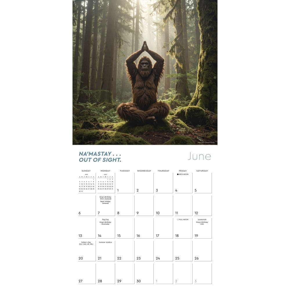 Yeti Yoga 2027 Wall Calendar Fourth Alternate Image