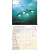image Sightings 2027 Wall Calendar Fourth Alternate Image