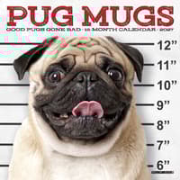 image Pug Mugs 2027 Mini Wall Calendar Main Product Image