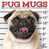 image Pug Mugs 2027 Mini Wall Calendar Main Product Image