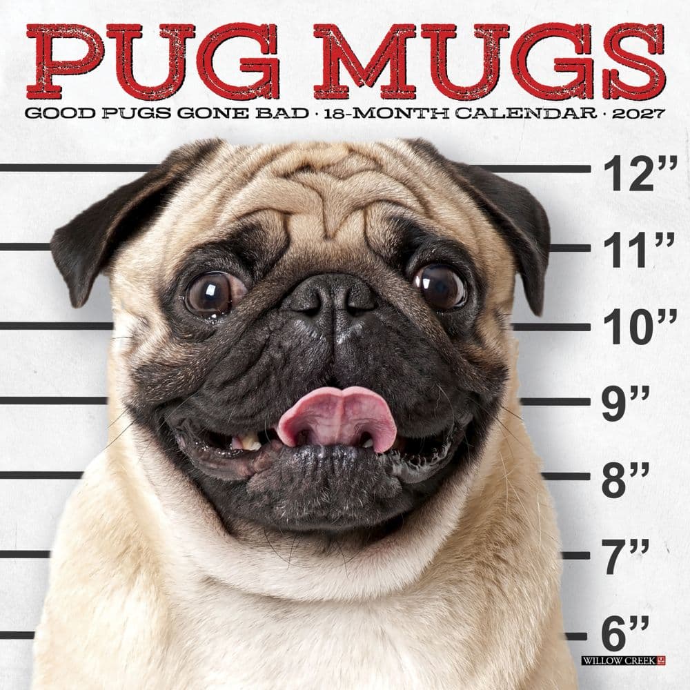 image Pug Mugs 2027 Mini Wall Calendar Main Product Image
