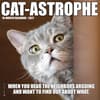 image Cat Astrophe 2027 Mini Wall Calendar Main Product Image