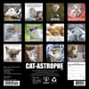 image Cat Astrophe 2027 Mini Wall Calendar First Alternate Image