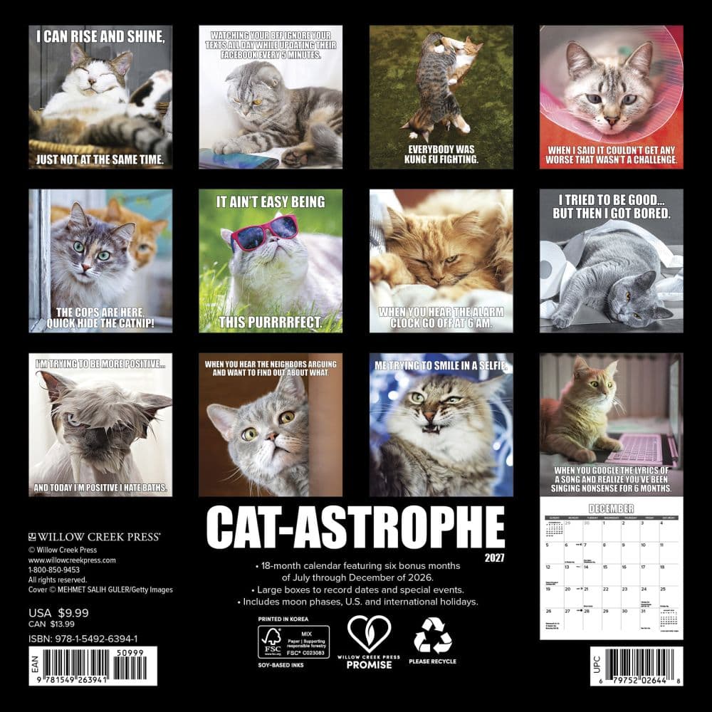 Cat Astrophe 2027 Mini Wall Calendar First Alternate Image