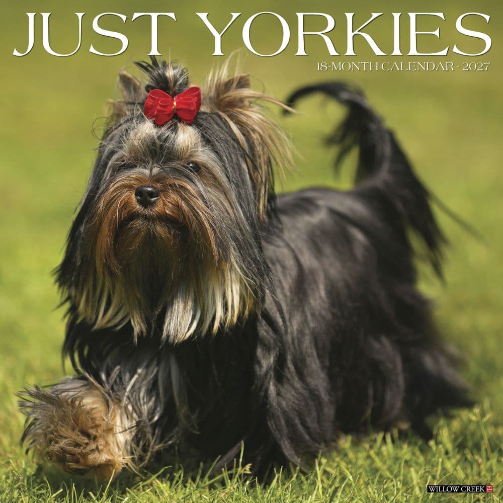 Just Yorkies 2027 Wall Calendar Main Product Image