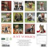 image Just Yorkies 2027 Wall Calendar First Alternate Image
